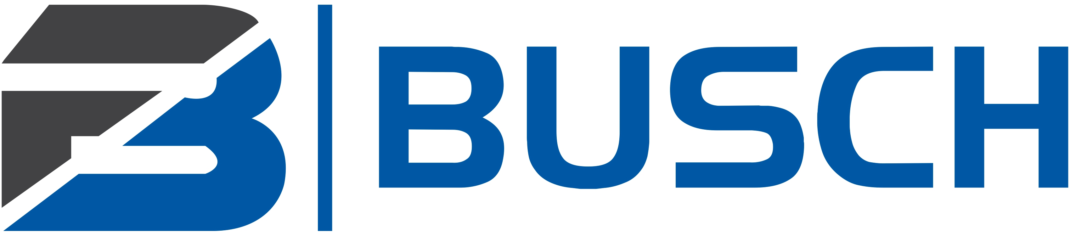 BUSCH Logo